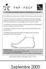 (la plaquette)